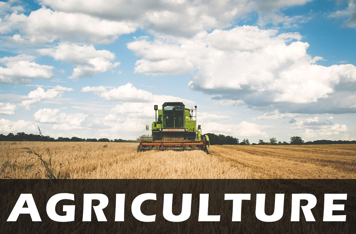 Agriculture